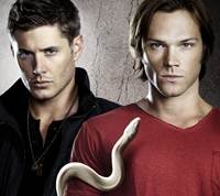pic for The Winchesters 1080x960